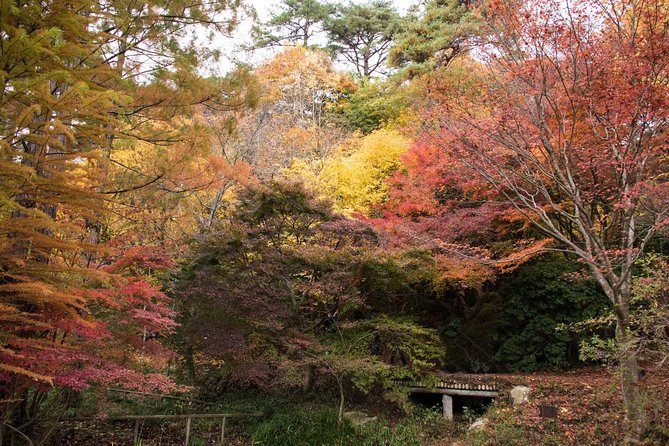 Private Car Day Trip to the Kobe Mountains, Gardens and Hot Springs from Osaka - Who should book this day trip