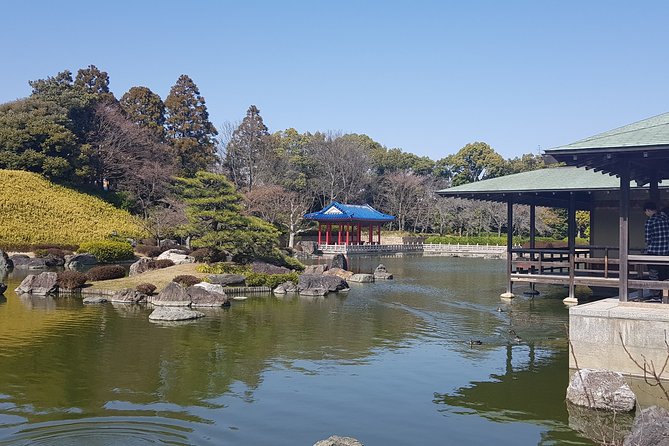 Private Car Full Day Tour of Osaka Temples, Gardens and Kofun Tombs - Revolving sushi gives the day a practical pause