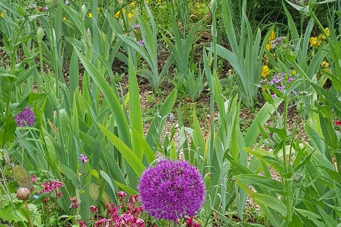 Private Car Trip to Giverny Garden from Paris - The Clos Normand garden and Monet’s famous setting