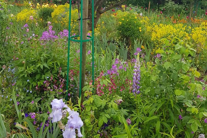 Private Car Trip to Giverny Garden from Paris - What the driver does, and what the driver does not do