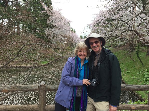 Private Cherry Blossom Tour in Hirosaki with a Local Guide - Why Hirosaki’s cherry blossoms are worth the trip