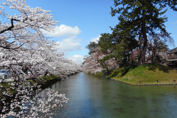 Private Cherry Blossom Tour in Hirosaki with a Local Guide - Hirosaki Castle and the story behind its small tower
