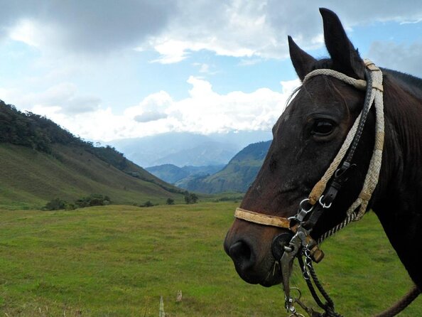 Private Coffee Tour in Jardín Antioquia - Key points to know before booking
