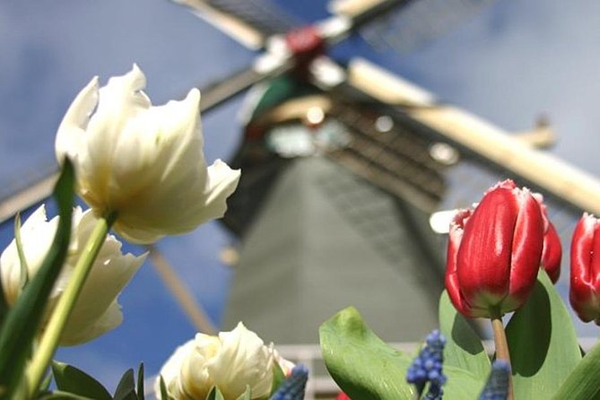 Private Day Tour to Keukenhof Gardens - from Amsterdam/Rotterdam - Price, inclusions, and the real value