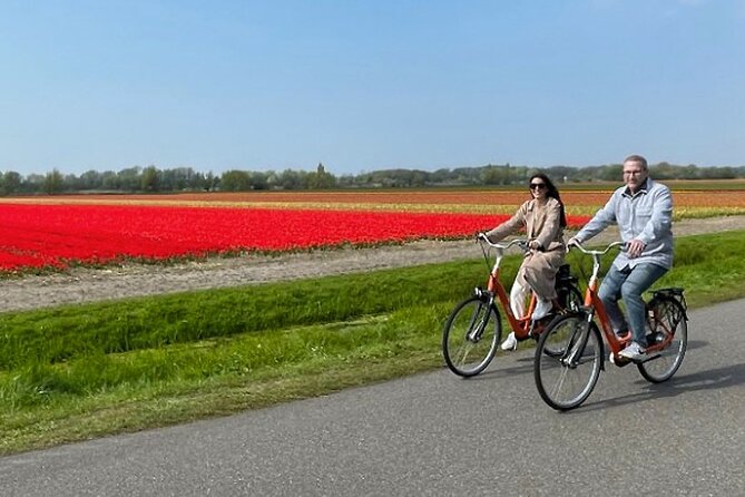 Private Day Tour to Keukenhof Gardens - from Amsterdam/Rotterdam - Who should book this Keukenhof tour?