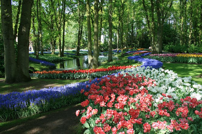 Private Day Trip from Amsterdam to Keukenhof with Entrance Tickets - Why a private Keukenhof trip makes sense