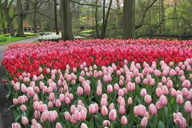Private Day Trip from Amsterdam to Keukenhof with Entrance Tickets - Is the $467.26 price good value?