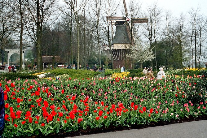 Private Day Trip from Amsterdam to Keukenhof with Entrance Tickets - Entering Keukenhof with four hours to explore