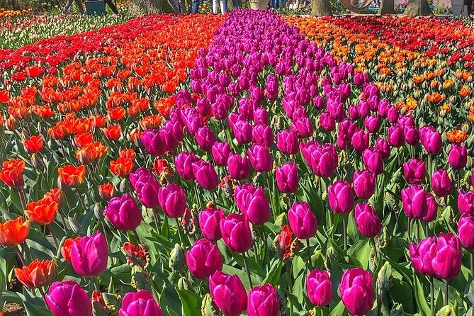 Private Day Trip to Keukenhof Gardens with Entrance Tickets - Booking, cancellation, and practical details