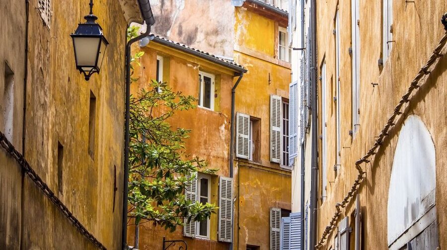 Private Day Trip to Provence and Lavender Fields - Price and value for groups of different sizes