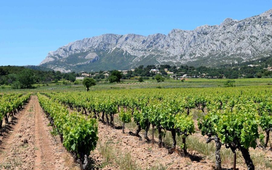 Private Day Trip to Provence and Lavender Fields - What to bring and how to pace yourself