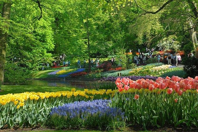 Private Day Trip to the Keukenhof Gardens and Giethoorn - Key points to know before booking