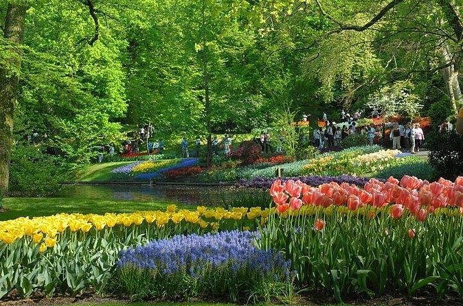 Private Day Trip to the Keukenhof Gardens and Giethoorn - Private transport and the value of the price