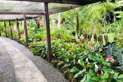 Private Denarau Shore Excursion – Temple, Shopping, Market, Garden & Mud Pool