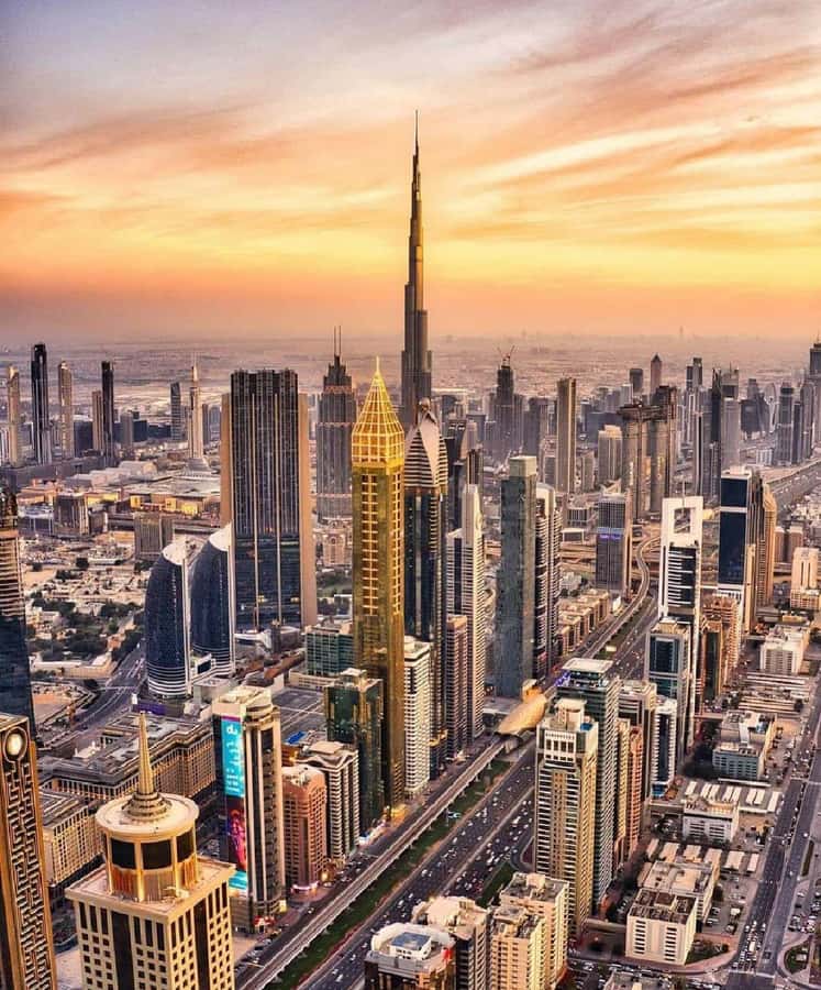 Private Dubai CityTour with Miracle Garden or Global Village - Is $211 per person good value?