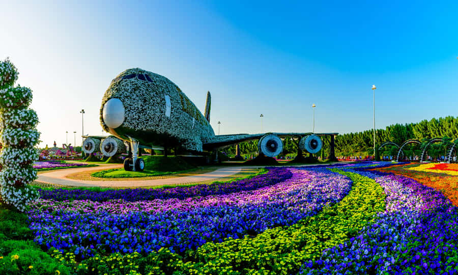Private Dubai Frame & Miracle Garden Trip with Transfer - Is $105 per person good value?