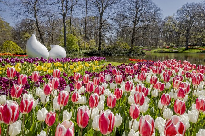 Private Flower Tour to the Keukenhof - A private way to reach Keukenhof from Amsterdam