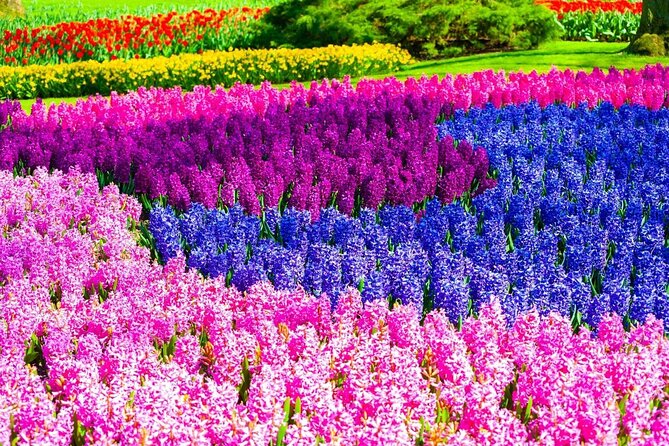 Private Flower Tour to the Keukenhof - How the private format affects the value