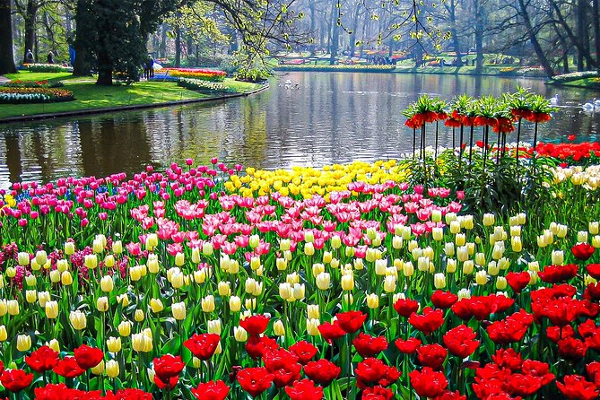 Private Flower Tour to the Keukenhof - Who will enjoy this Keukenhof outing