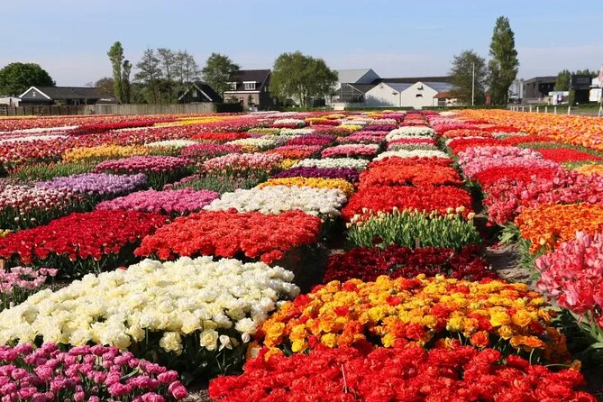 Private Flower Tour to the Keukenhof - Should you book this private flower tour?