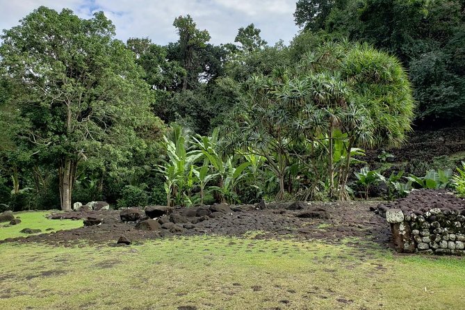 Private Full-Day Tahiti — Grotto, Gardens & Panoramas - Arahurahu Marae and Polynesian sacred places