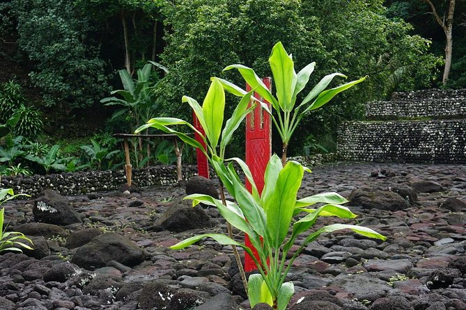 Private Full-Day Tahiti — Grotto, Gardens & Panoramas - Lunch near Papeari and the Paul Gauguin connection