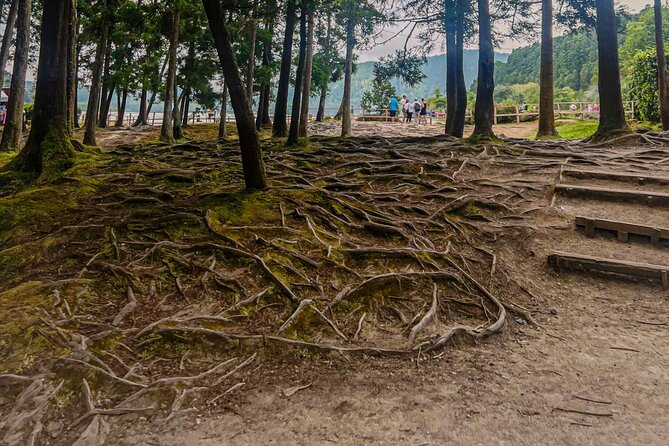 Private Full Day Tour Furnas – Thermal Pools & Botanical Garden - Nossa Senhora da Paz ends with a wide island view