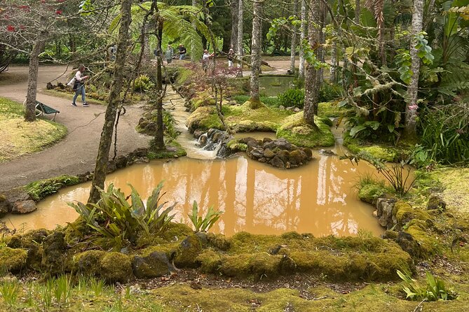 Private Full Day Tour Furnas – Thermal Pools & Botanical Garden - What the private vehicle and guide add