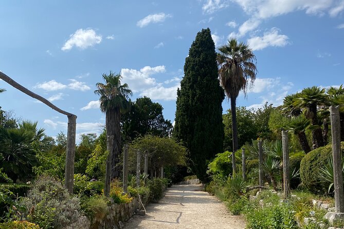 Private Game of Thrones Tour with King's Landing Garden - Trsteno Arboretum and the King’s Landing garden