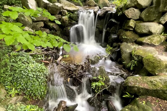 Private Garden of Ireland Wicklow Tour from Dublin - A Private Route Into Wicklow from Dublin