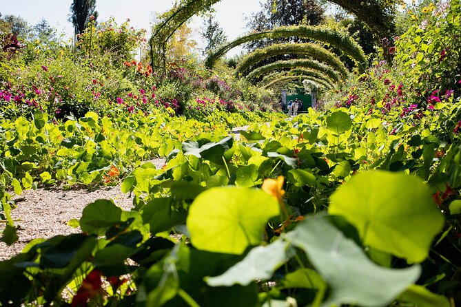 Private Giverny Monet’s House & Gardens Half-Day Tour from Paris - Live guide or independent visit?