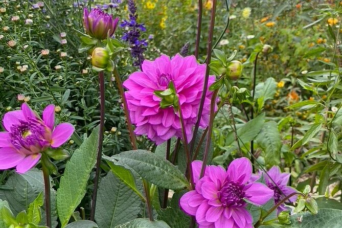 Private Giverny Roundtrip and Entrance Ticket from Paris - What the private format really gives you