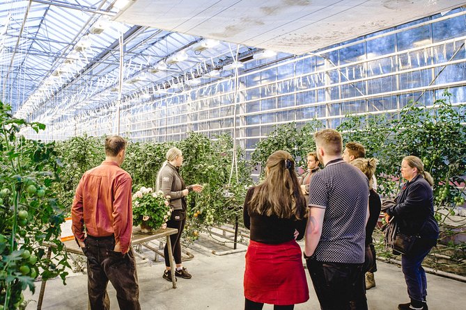 Private Golden Circle, Sky Lagoon and Friðheimar Greenhouse Lunch - Is $3,215 good value for two?