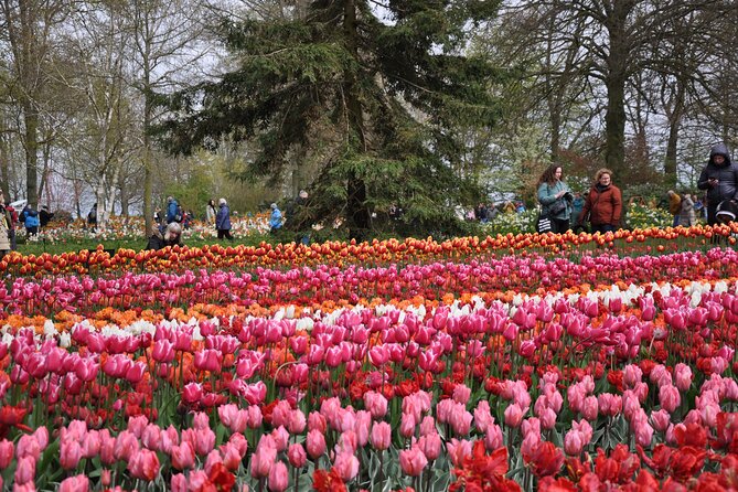 Private Guided Keukenhof Gardens and Zaanse Schans Tour - Two hours among the Keukenhof flowers