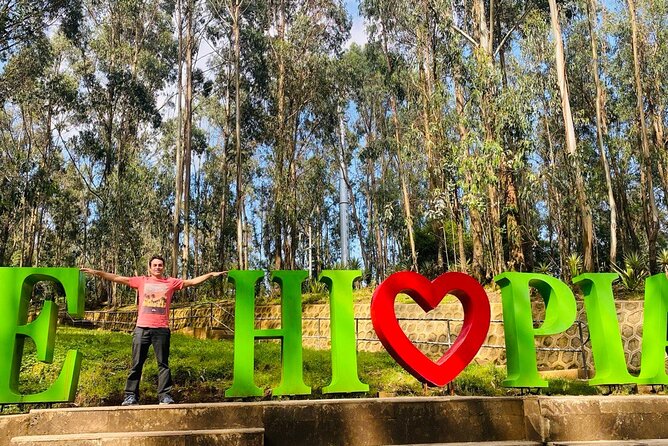 Private Half Day Guided tour in Addis Ababa New Flower - Why this tour works for a short Addis Ababa visit
