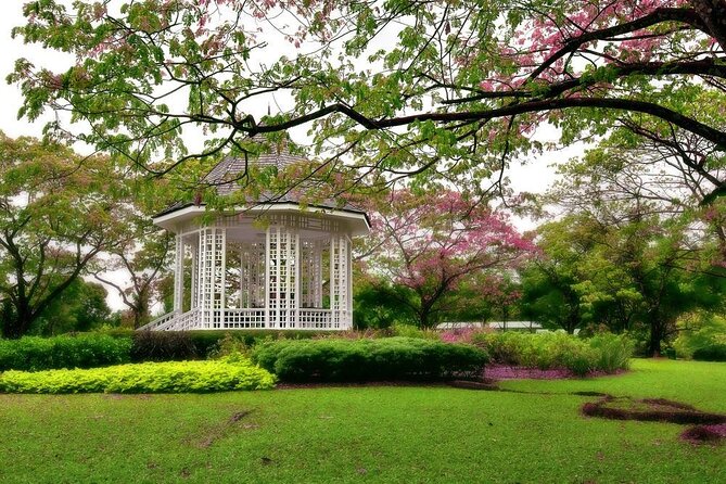 Private Half Day Singapore City Tour with Botanical Orchid Garden - A smart first morning in Singapore