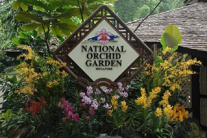 Private Half Day Singapore City Tour with Botanical Orchid Garden - Why the private format matters