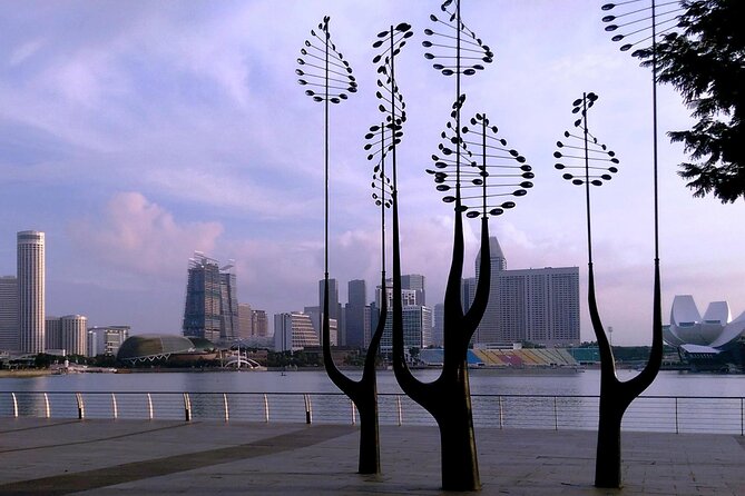 Private Half Day Singapore City Tour with Botanical Orchid Garden - One hour among Singapore’s orchids