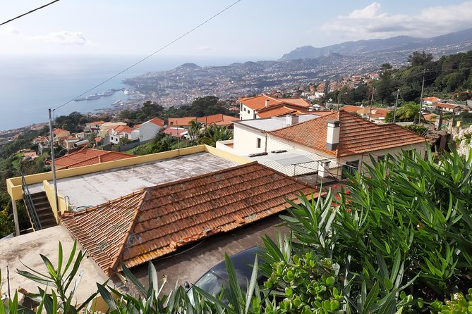 Private Halfday Flower Palheiro Gardens Tour - Walking Palheiro Gardens at your own pace