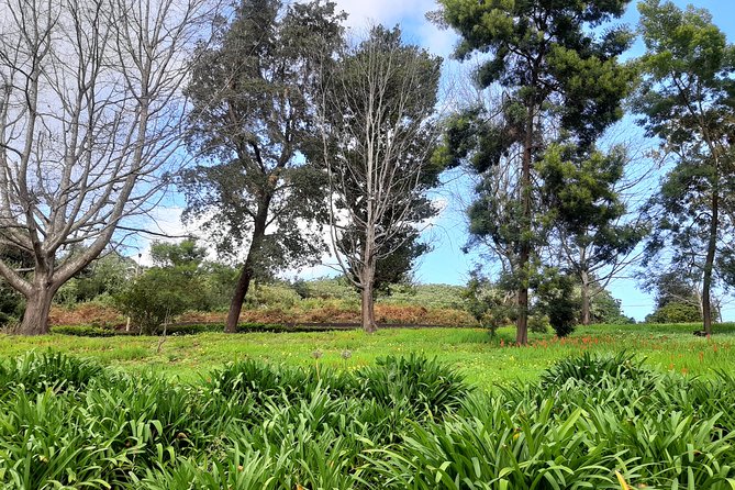 Private Halfday Flower Palheiro Gardens Tour - Is $108.37 per person fair value?