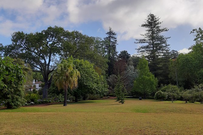 Private Halfday Flower Palheiro Gardens Tour - Who will enjoy this three-hour outing?