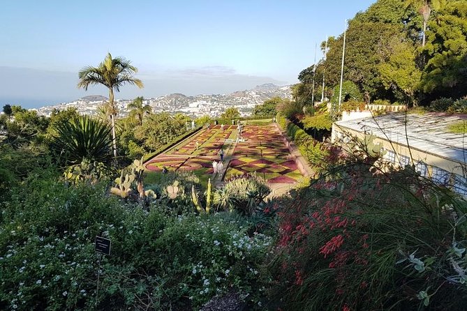 Private Halfday Madeira Garden Tour - Why Madeira’s gardens deserve half a day