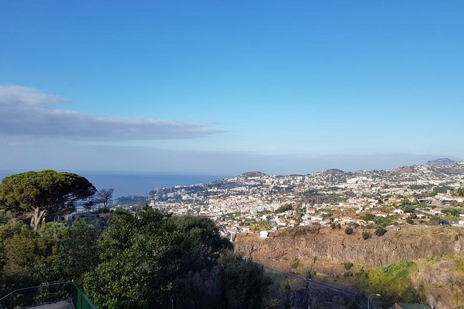 Private Halfday Madeira Garden Tour - Four hours, private transport, and value