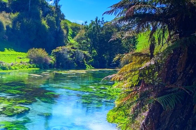 Private Hobbiton, Waitomo Caves, Blue Spring & Hamilton Transfer - What the private car changes