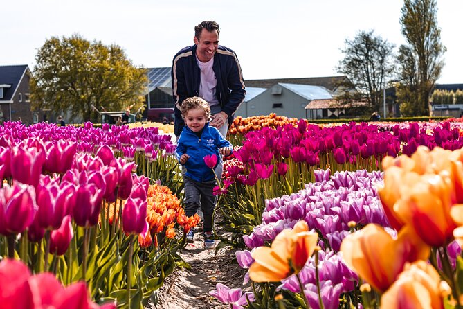 Private Keukenhof Gardens and Tulip Fields Tour from Amsterdam - Who will enjoy this tour most?
