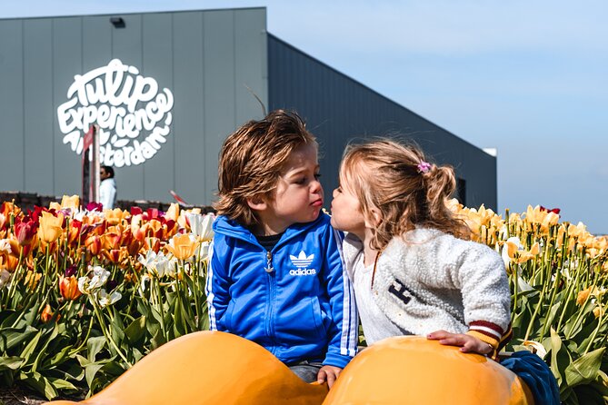 Private Keukenhof Gardens and Tulip Fields Tour from Amsterdam - Practical tips for making the most of it