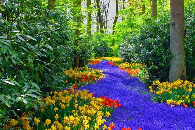 Private Keukenhof Park and Tulip Fields Tour (Skip-The-Line) - Tulip fields, farms, and windmills