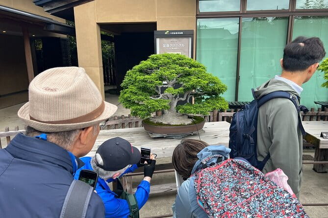 Private Omiya Bonsai Village Tour with Licensed Guide - Six bonsai gardens, six different ways to look at a tree
