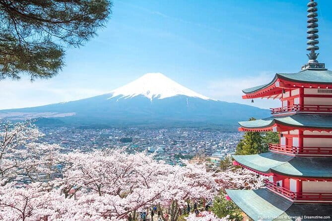 Private Omiya Bonsai Village Tour with Licensed Guide - Who will get the most from this four-hour tour
