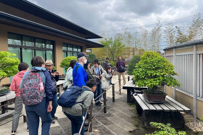 Private Omiya Bonsai Village Tour with Licensed Guide - Price, timing, and cancellation